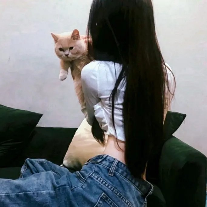 新手